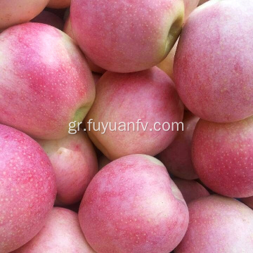 Χονδρική τιμή Qinguan μήλο με καλή ποιότητα